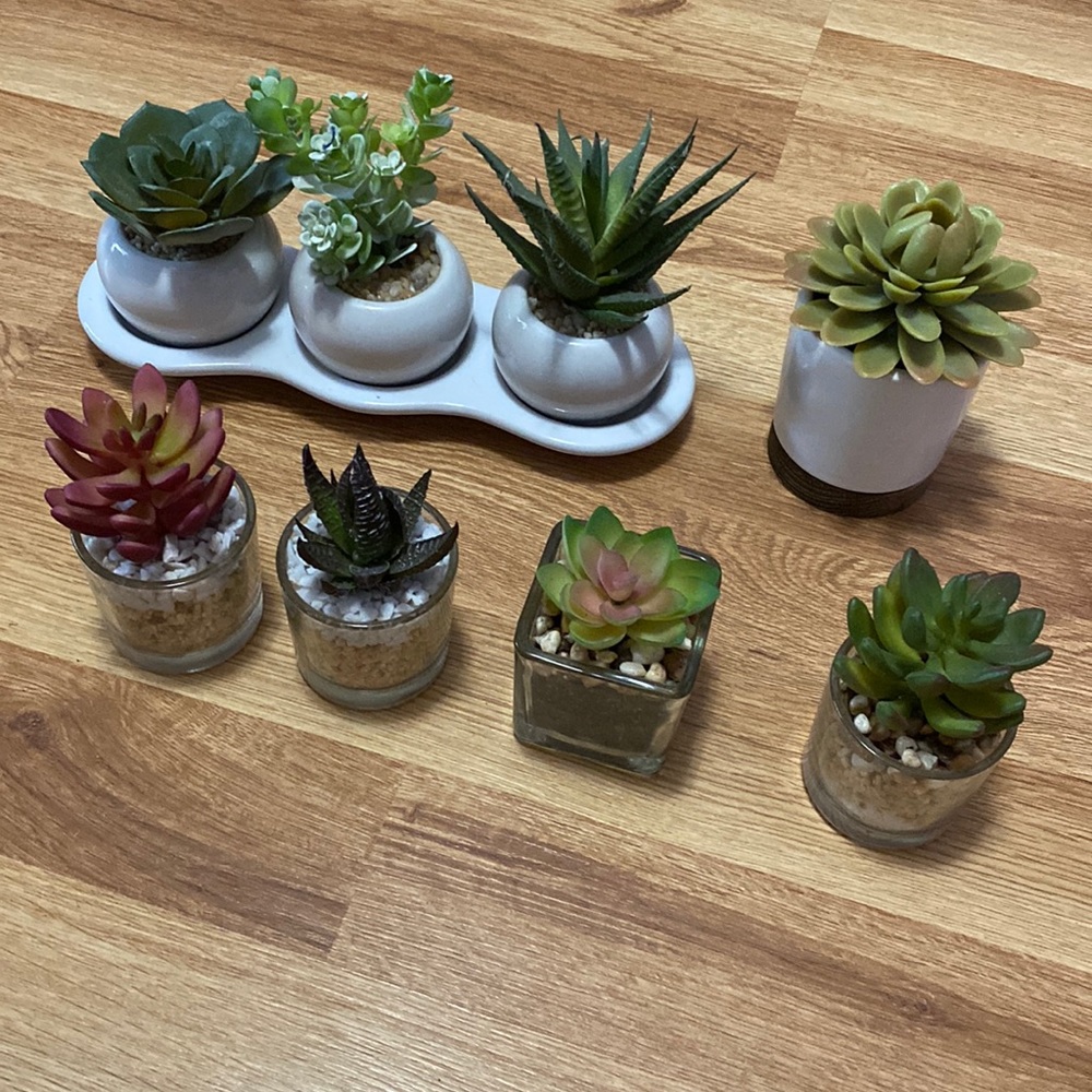 Faux succulents